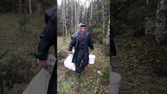 Будем варить борщ