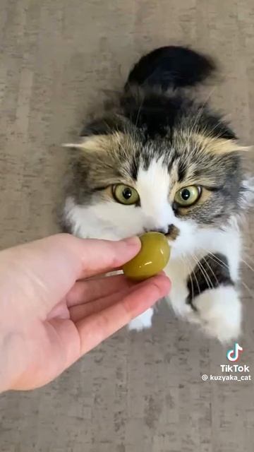 1000098116.mp4