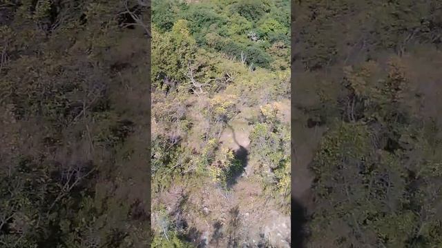 Канатная дорога в Геленджике..Сафари парк...Смотри вторую часть