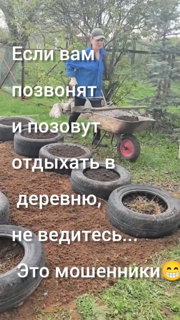 Отдых в деревне)