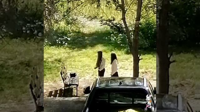 А у нас во дворе...