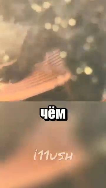 i11ushenka (399)