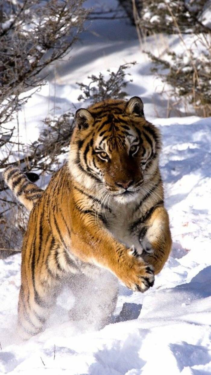 Приедет ли на текущей неделе Ваш загаданный человек?🤔