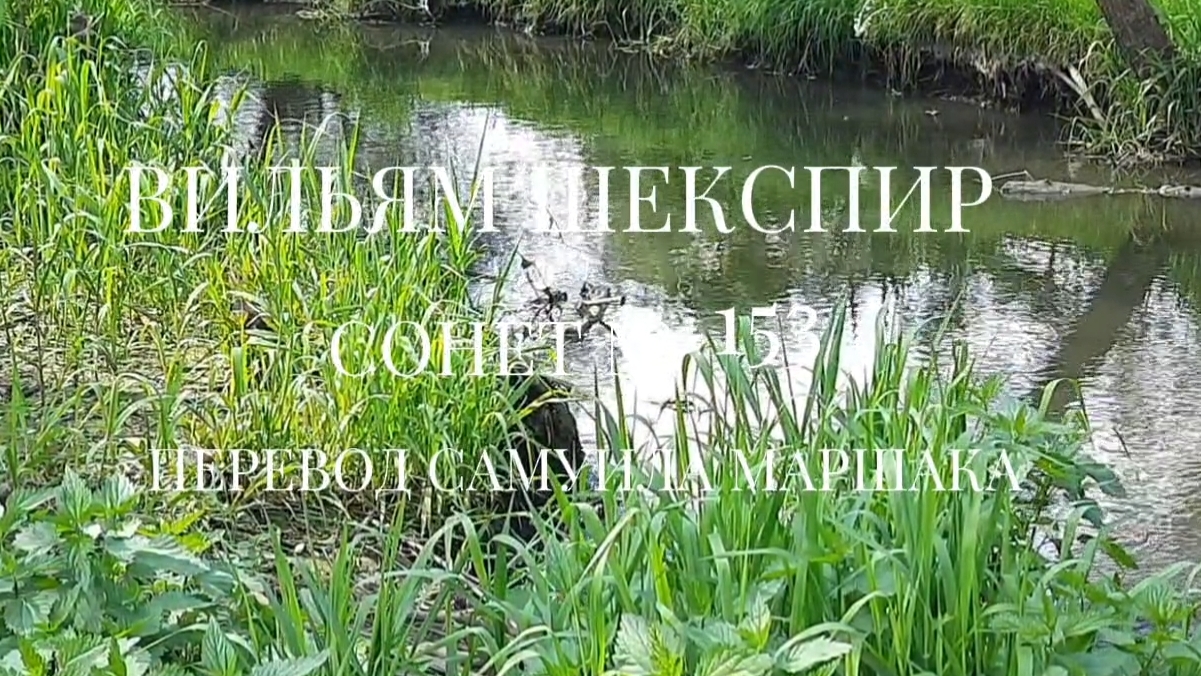 Вильям Шекспир. Сонет № 153. Пер. Самуила Яковлевича Маршака (Бог Купидон дремал в тиши лесной)