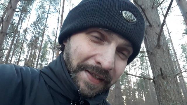 Размышления о смысле бутерброда Дяди Федора,  если бы ?