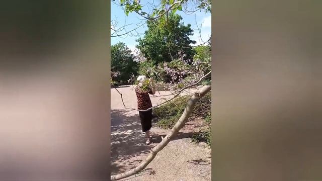 КРЫМ 24.05.25 парк Вернадского