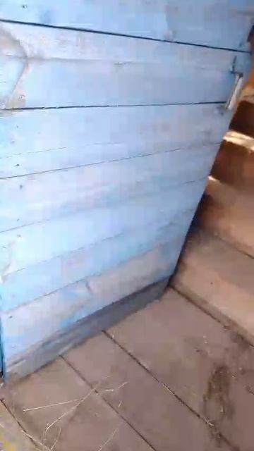 1000058784.mp4