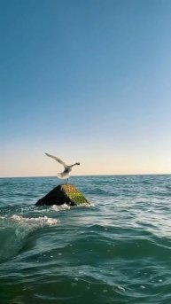 Море, красота