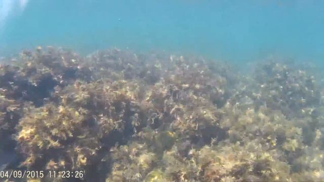 Подводный тест AT-300 action camera