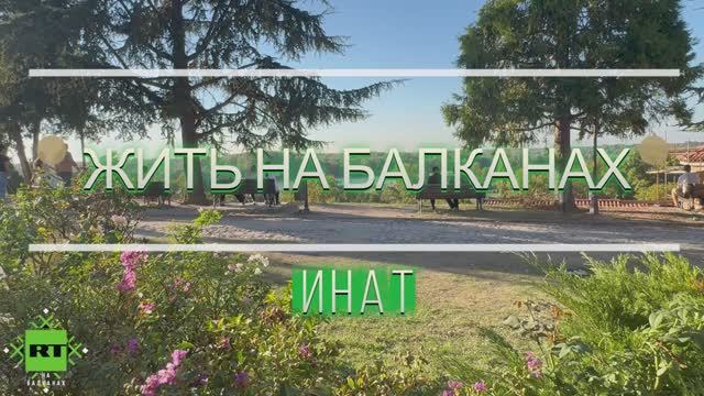 Почему инат - главная балканская черта характера?
