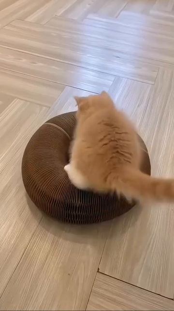 Ссылка на товар здесь: https://t.me/+DN-o8L9MWfs3MzEy