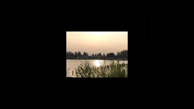 Пс 90 - Господь защита моя🕊️🕊️🕊️