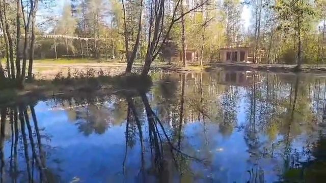 26-05-2025  Как время быстротечно