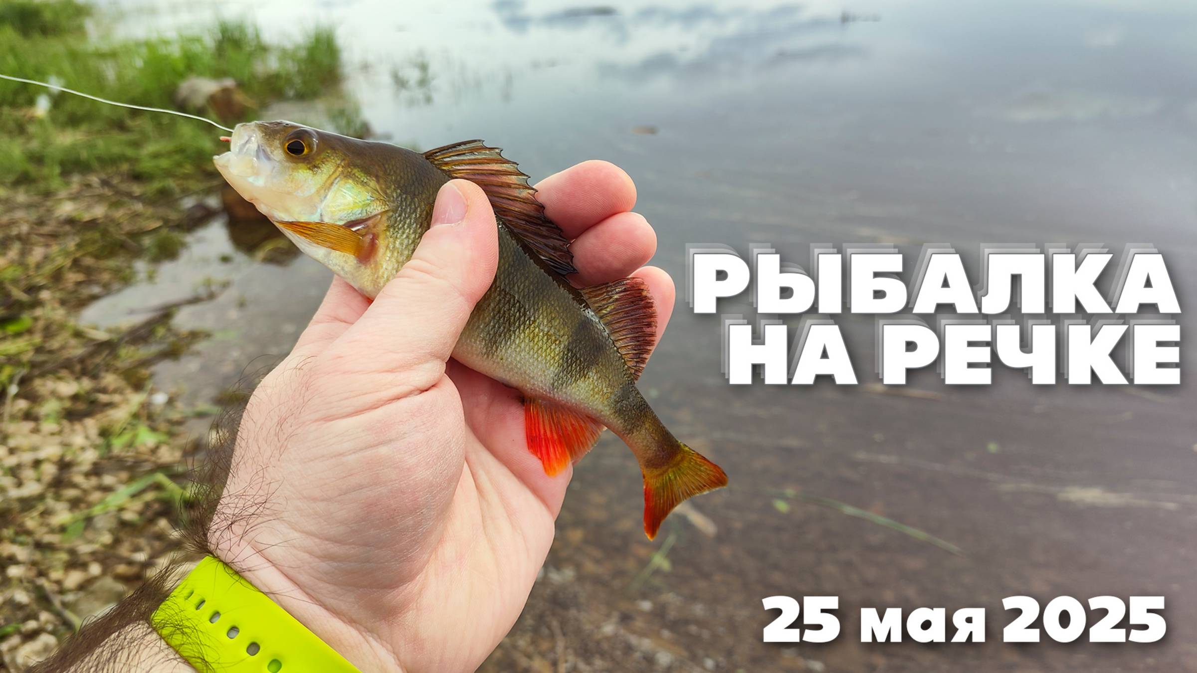 Рыбалка на ПОПЛАВОК. Река ВЕЛИКАЯ (25 мая 2025 год)