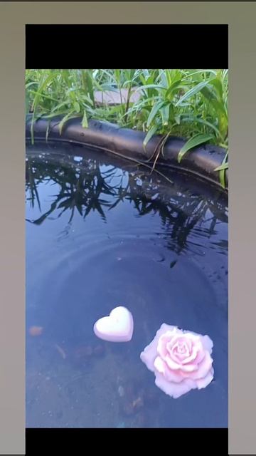 Плавающие свечи