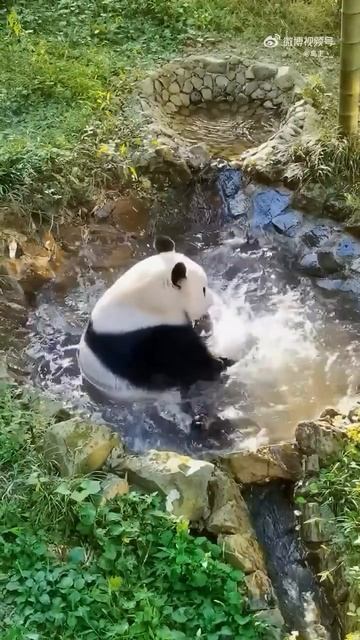 1000102181.mp4