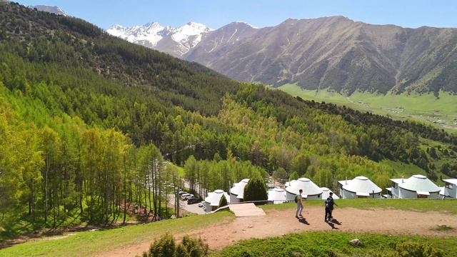 Маки. Ущелье Чункурчак. Супара. Кыргызстан 🇰🇬 Гид Юрий Антропкин