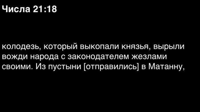 Числа, глава 21