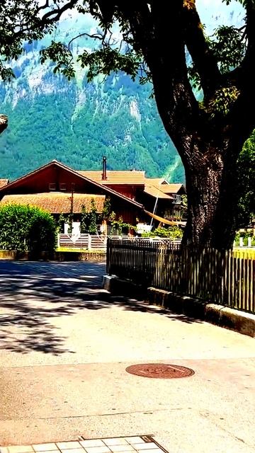 Камера не скроет правду