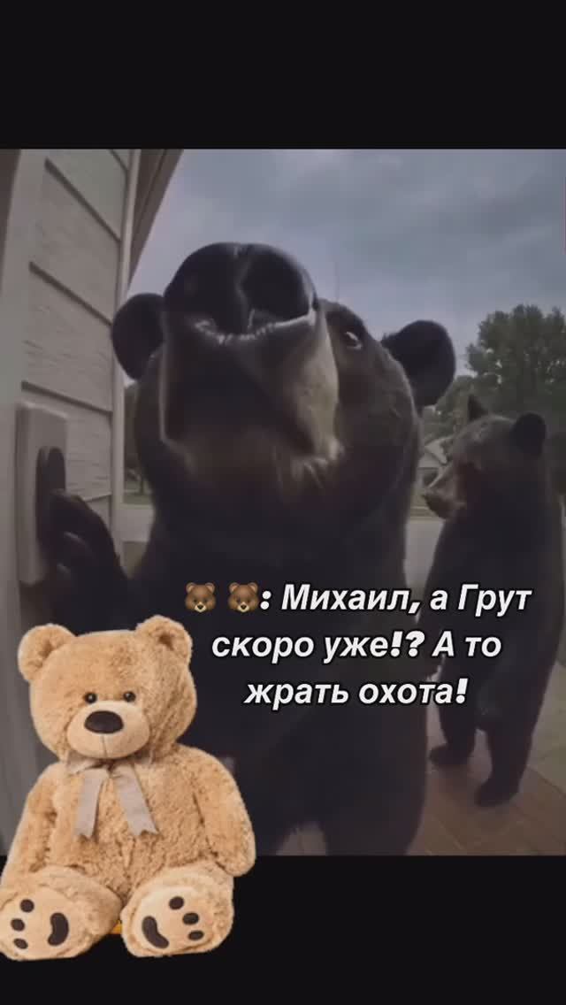 3059767045632119325