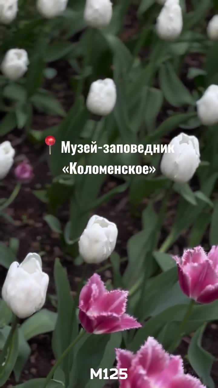 #Парк #Коломенское - #идеальное #место для #прогулки