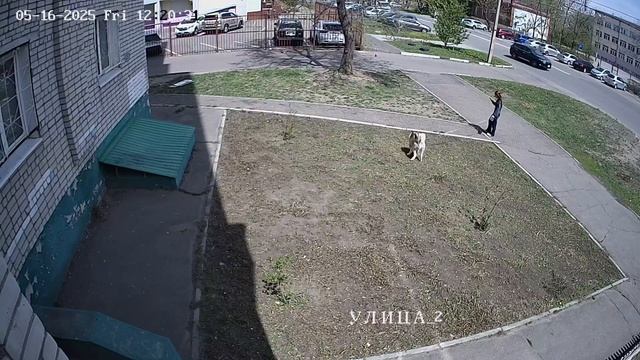 Обосралипсис - как достали уже....