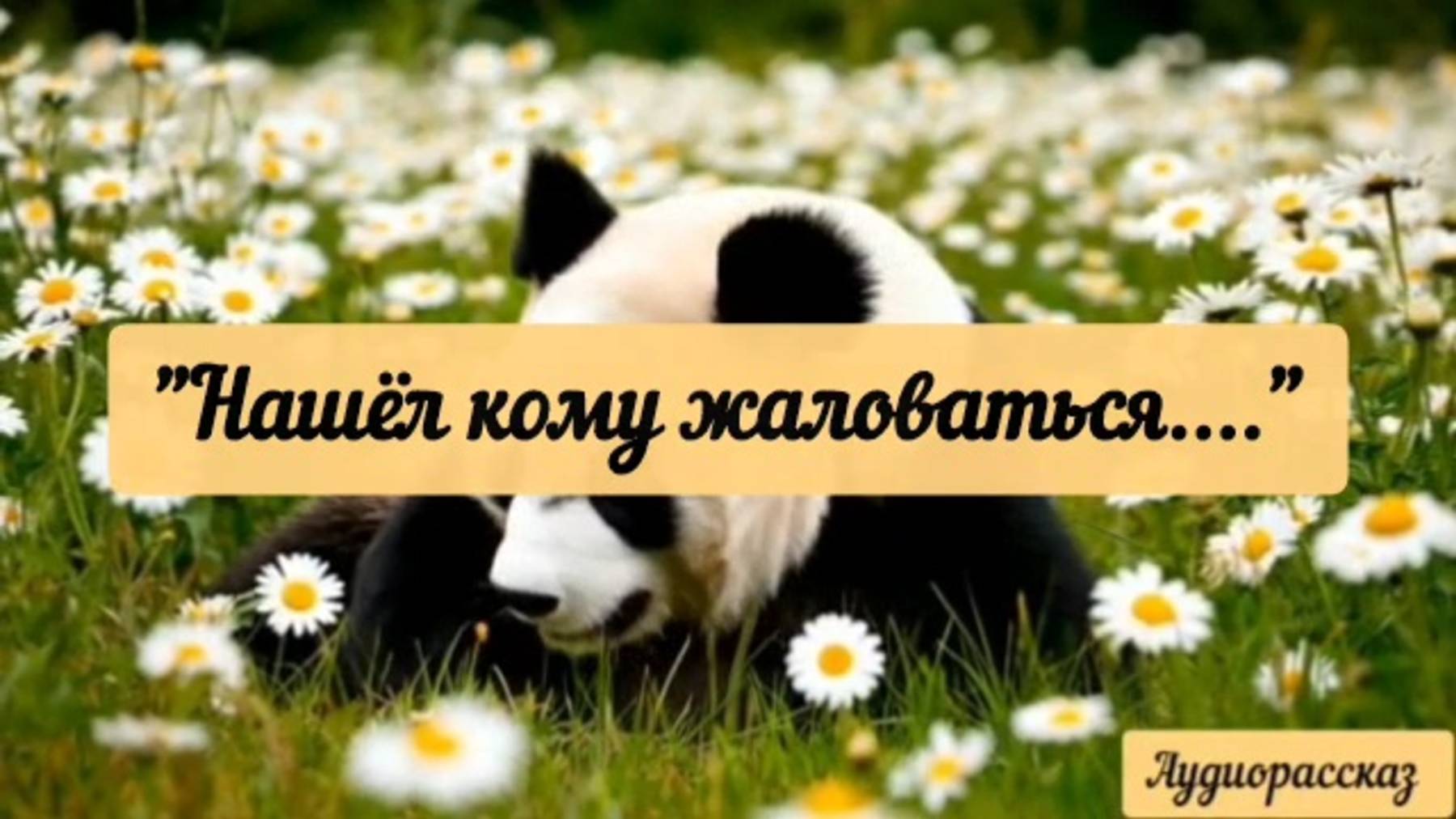 Чудной такой, пришёл к бывшей жене жаловаться на жизнь.