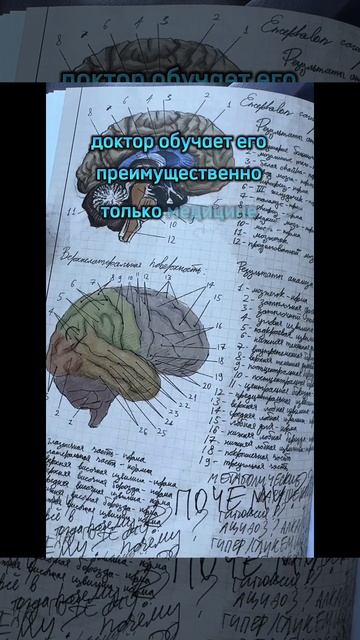 Книжный отзыв 🔥