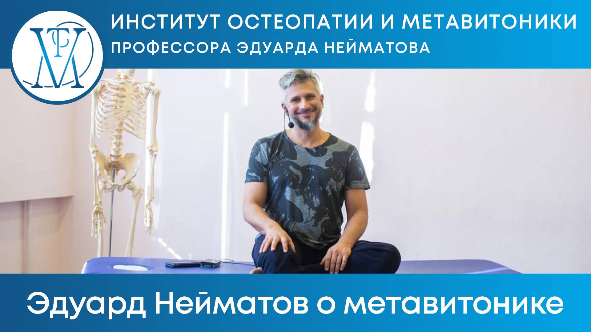 Метавитоника
