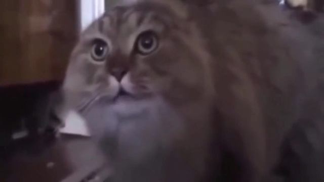 мем-часть 3.