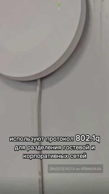 Точка доступа WEP-2L Eltex. Видео[Охота] на eltexcm.ru