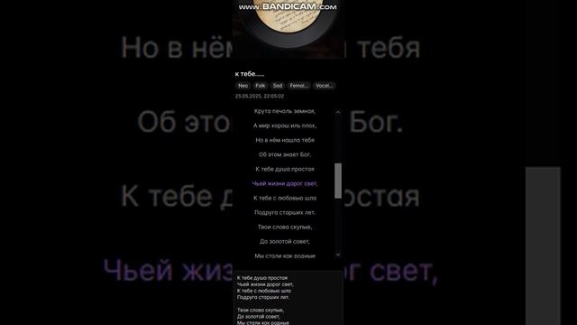 Sel. theme The Neptunov - К тебе ...