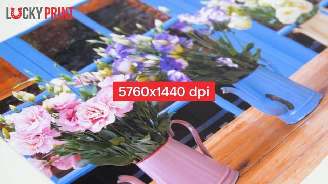 Порівняння Epson L8050 з Epson L805. Чим здивує новинка?