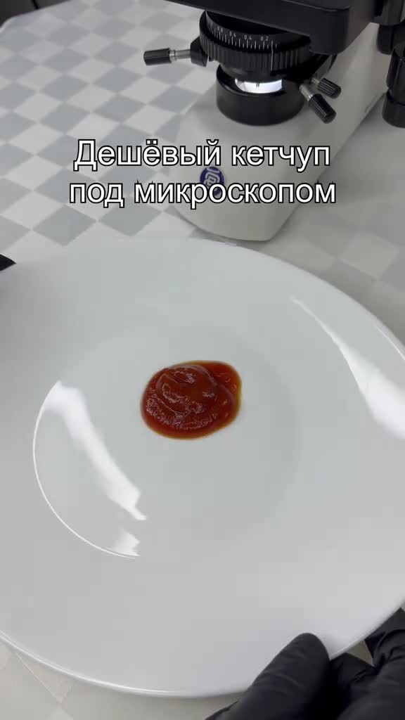 #микромир #подмикроскопом #интересно #микроскоп #наука