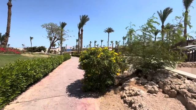 🇪🇬ПРИШЛОСЬ МЕНЯТЬ НОМЕР в отеле PARROTEL BEACH RESORT‼️@MAMALENA