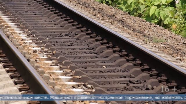 23.05.2025 На Сахалине погибла женщина, попавшая под поезд