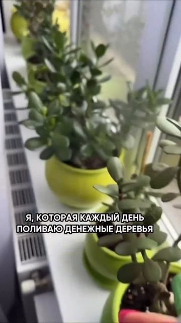 у вас так же ? 😂#юмор #приколы #cute #смешныевидео #дослез #толстянка #flowers #gardenideas #cute #