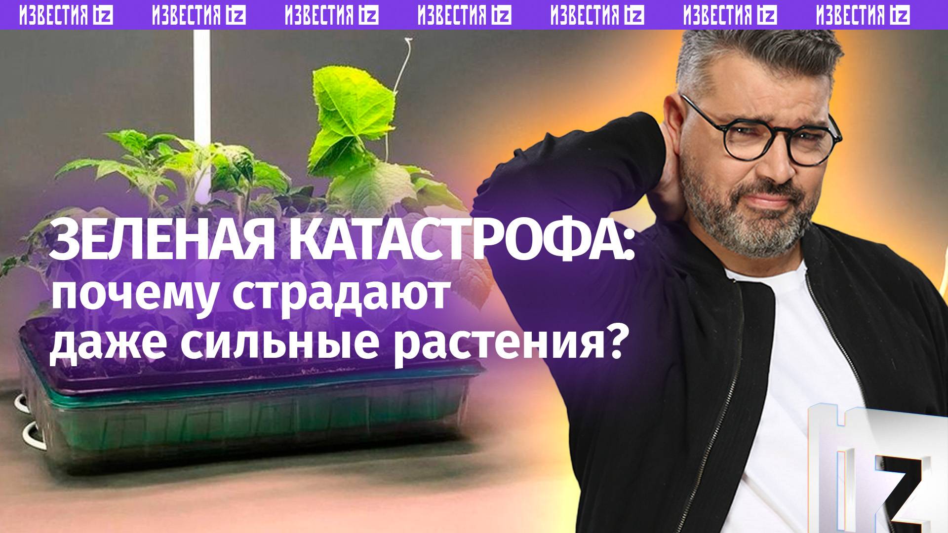Как защитить зеленых любимчиков? «Знаете ли вы, что?»: ваши растения мучаются от ожогов