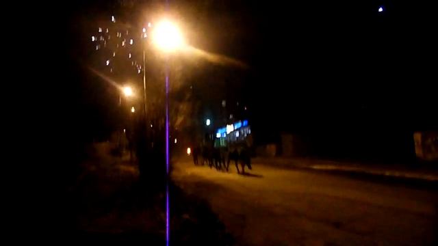 В центре города в Новый год. Табун лошадей