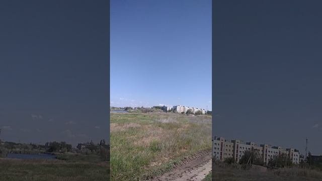 Я собираю травы для чая. #short #shortvideo #tea #чай