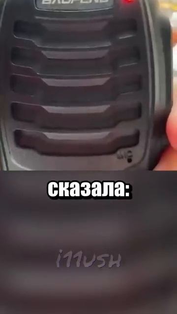 i11ushenka (442)