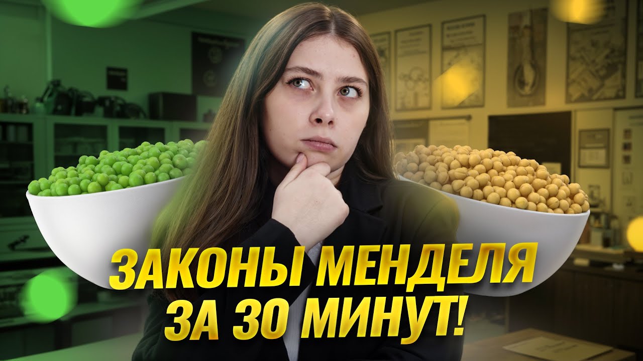 Законы Менделя за 30 минут с Кристиной Мельниковой | Биология ЕГЭ для 10 класса | Умскул