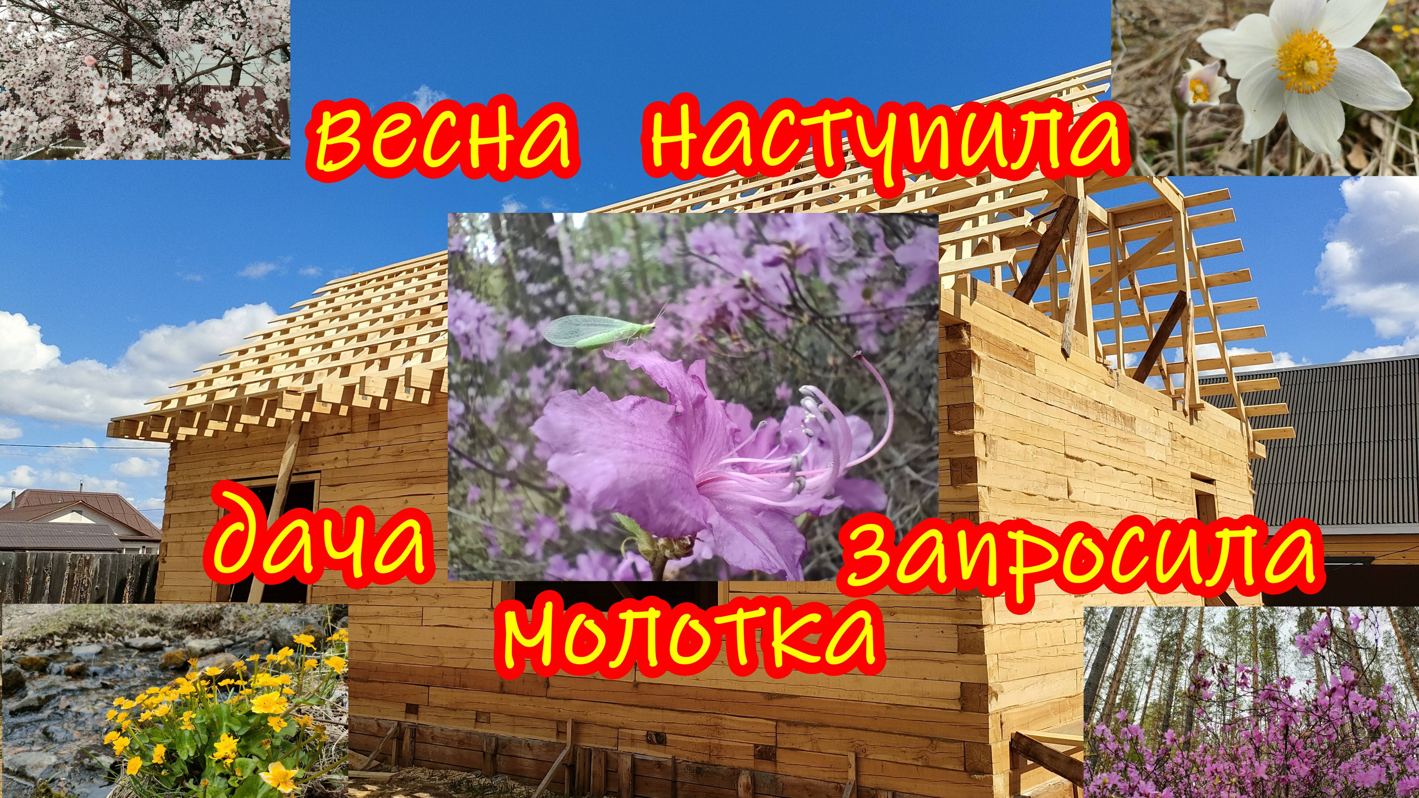 Строительство дома на дачном участке продолжается.