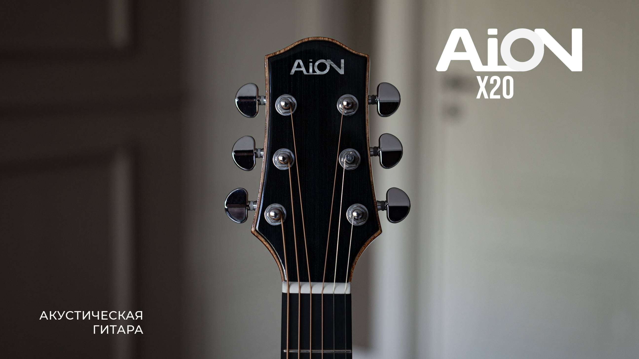 Знакомство с акустической гитарой AION X20 за 2 минуты