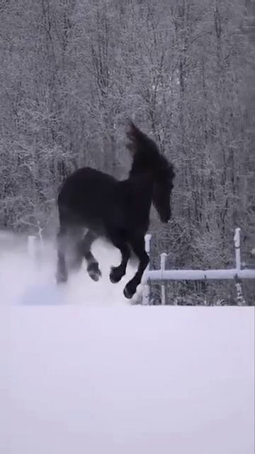 Зима ррекрасна