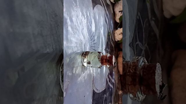 зелья 4 часть