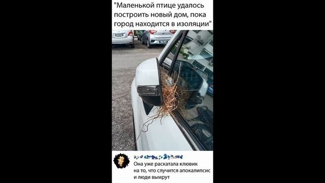 Фото приколы. Часть 12.