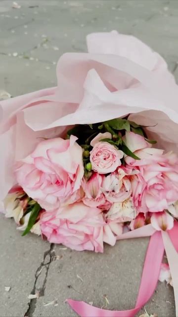 что за драма между #шаман и Екатериной #мизулина #юмор #певец