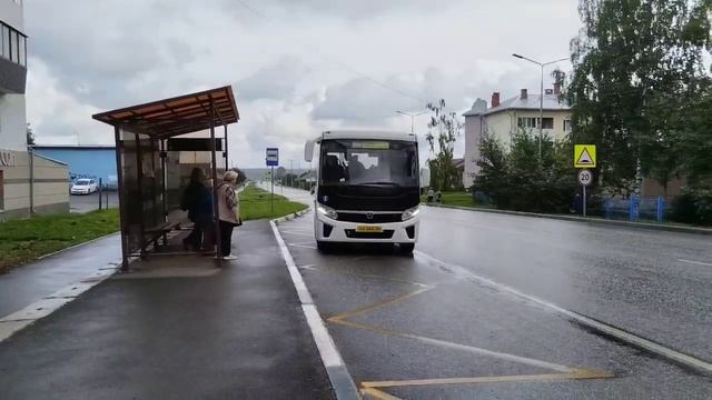 Автобус паз вектор некст с маршрутом номер 100