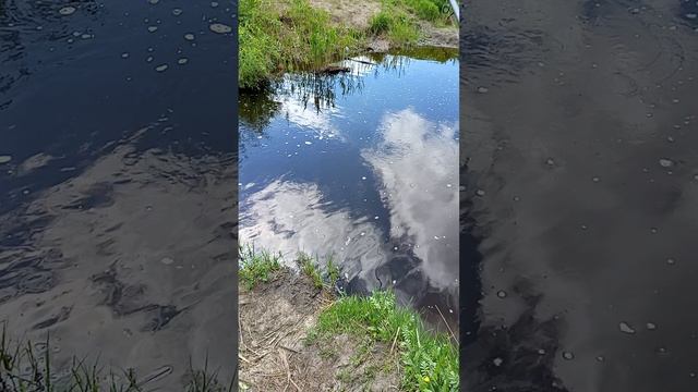 1000007093.mp4
